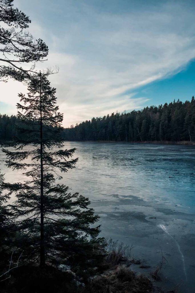 Tyresta National Park