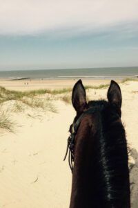 riding at the beach in Norderney