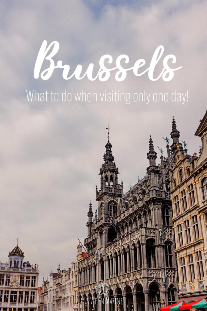 8 Hours in Brussels - La Vie En Marine