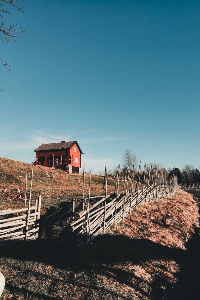 Tyresta - How to Hike in Stockholm