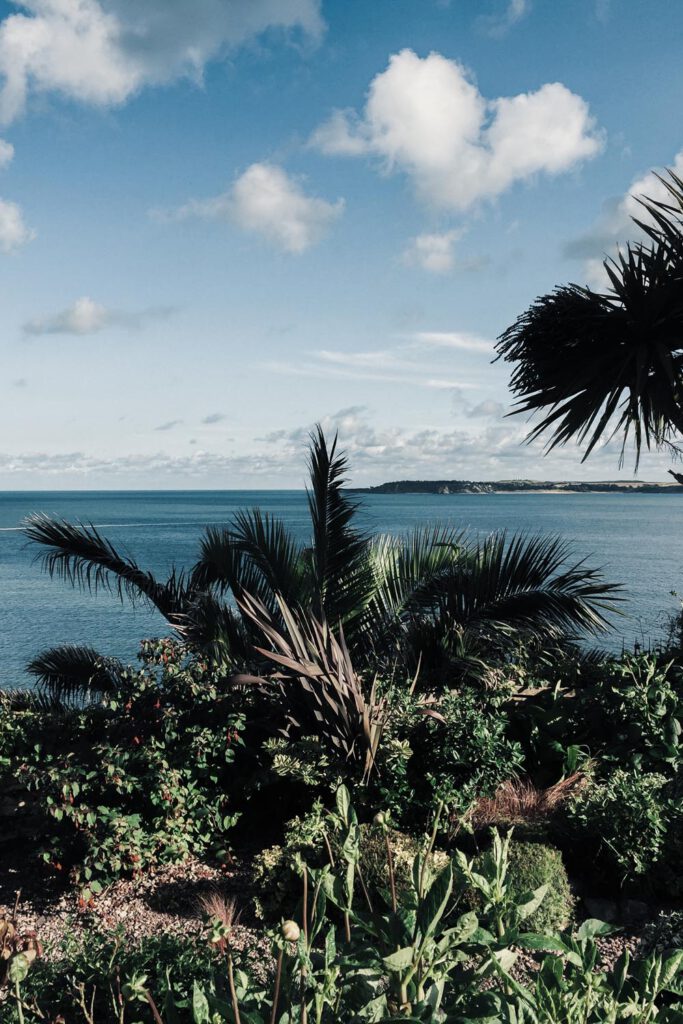 Tenby's Palms, Road Trip in South Wales - La Vie En Marine