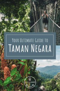 Your Guide to Taman Negara - Pin