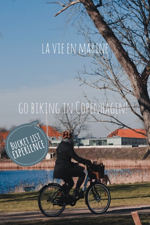 Biking in Copenhagen - La Vie En Marine