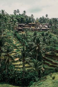 Asia Bucket List - Rice Terrace of Bali