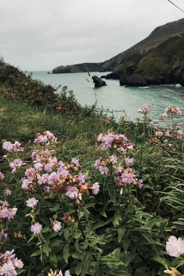 Beautiful Llangranog Beach