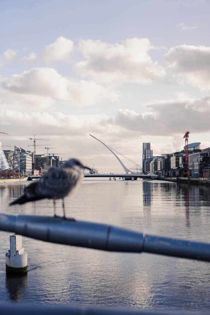 Samuel Beckett Bridge shot from the Sean O'Casey Bridge , Guide to Dublin - La Vie En Marine