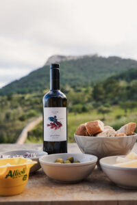 In front of the Santueri in Mallorca we placed a charcuterie board and a bottle of wine. There are olives, aioli, fuet and baguette. When staying in a Finca in Mallorca this is usually what we have for dinner!