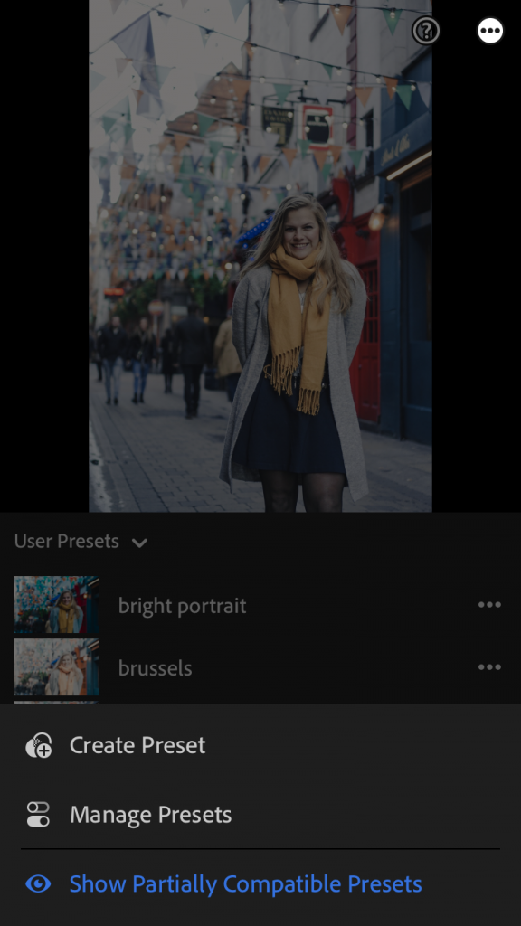 How to Install Lightroom Presets on Your Phone - La Vie En Marine