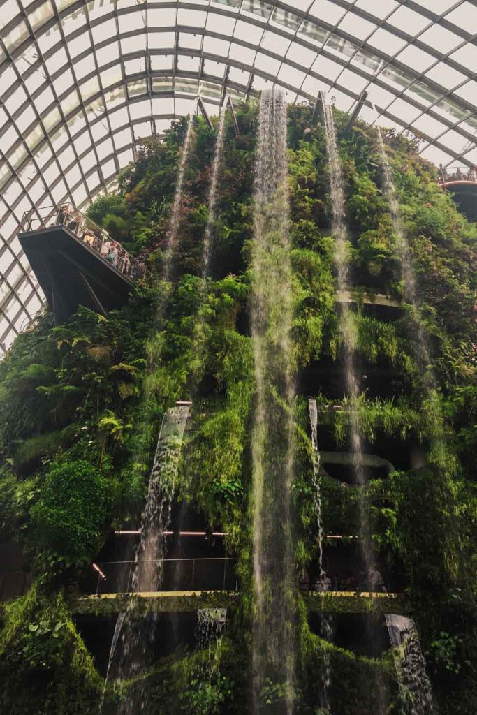 Cloud Forest of Singapore