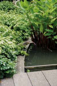 Monitor Lizard at Singapore Botanical Gardens - La Vie En Marine