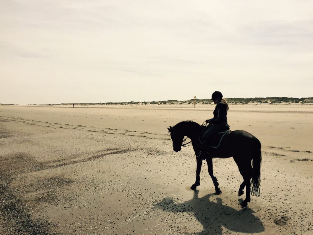 Horse and Rider on the Beach