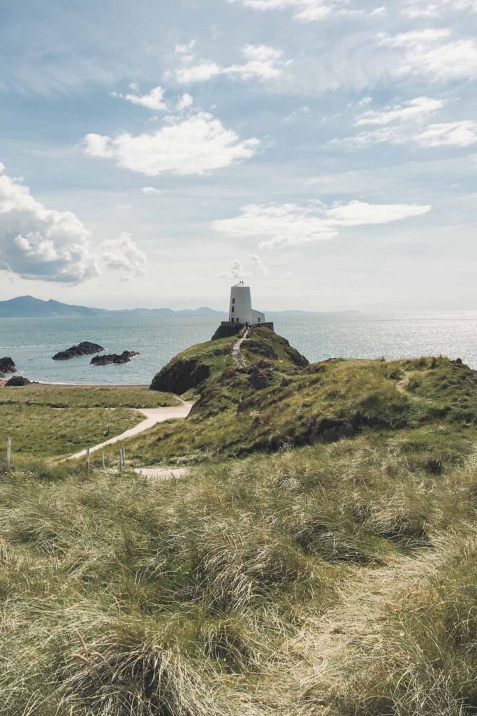 Ynys Llandwyn Wales