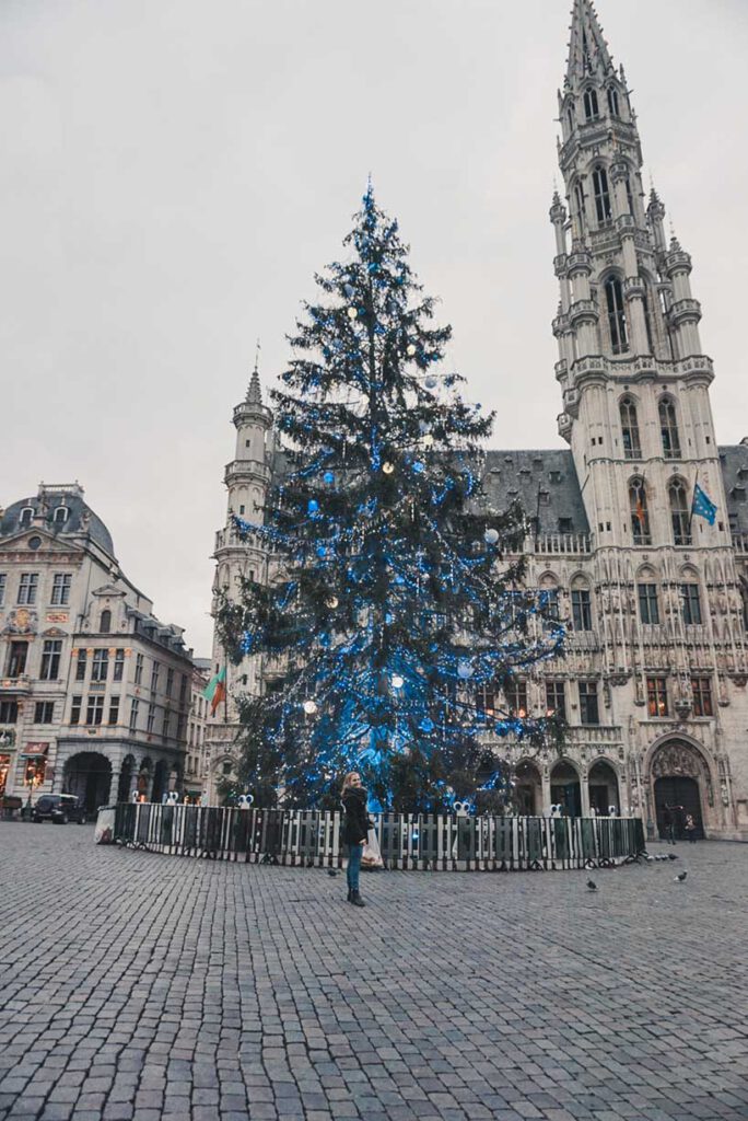 Christmas in Brussels