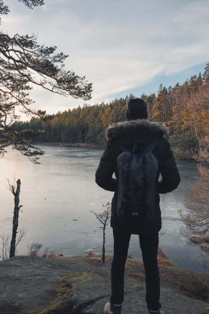 hiking a scandinavian forest