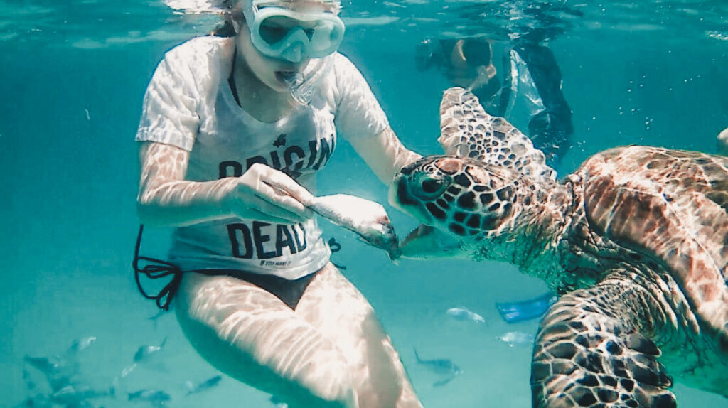 swimming with turtles