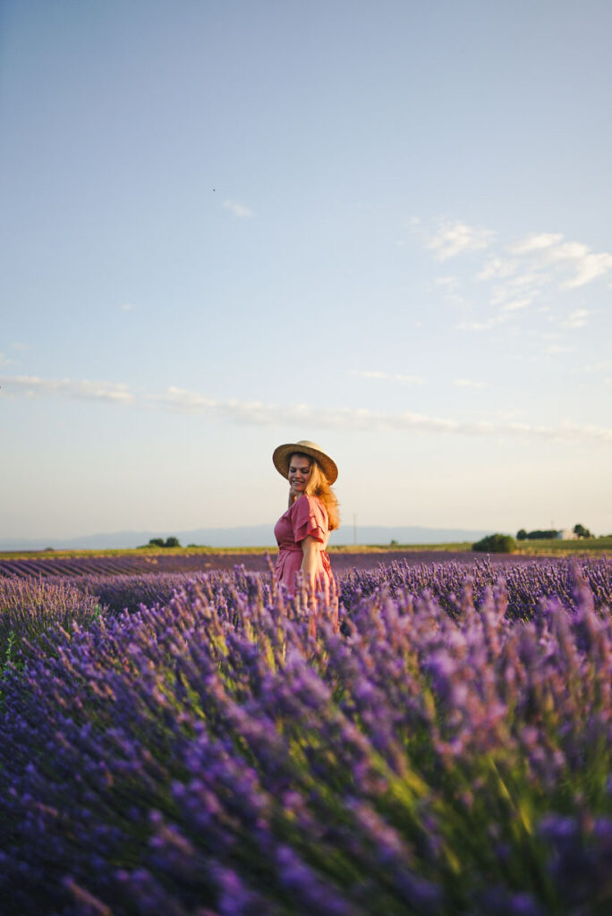 Lavender Fields of Provence