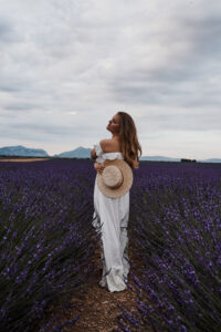 4 Day Provence Itinerary - Lavender in Valensole