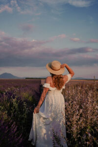 4 Day Provence Ititnerary - Sage Fields in Valensole