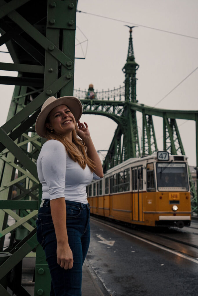 Highlights of Budapest - Liberty Bridge