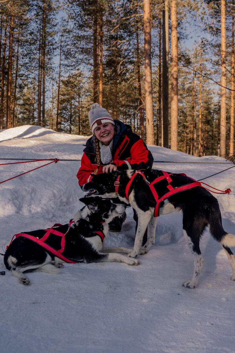 With my Two-Day Lapland Itinerary you will explore the ultimate Winter Wonderland including the Husky Farms of Rovaniemi!