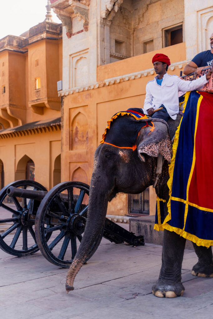 Elephant in Amer Fort - India Itinerary