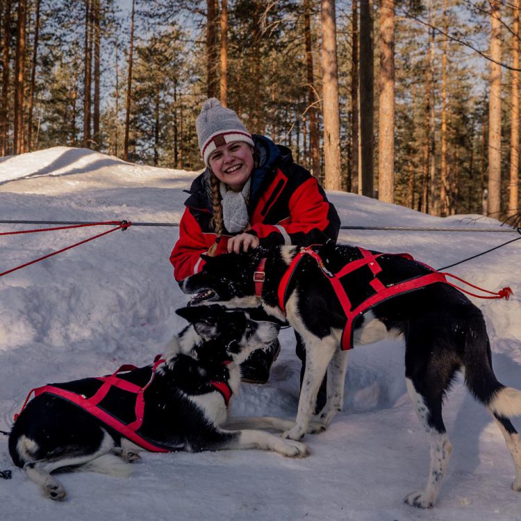 With my Two-Day Lapland Itinerary you will explore the ultimate Winter Wonderland including the Husky Farms of Rovaniemi!