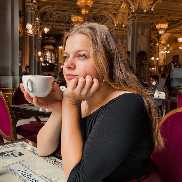 highlights of budapest - new york café coffee drinking